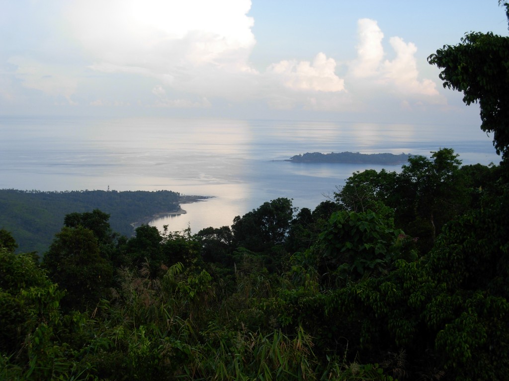View from Mt. Harriet