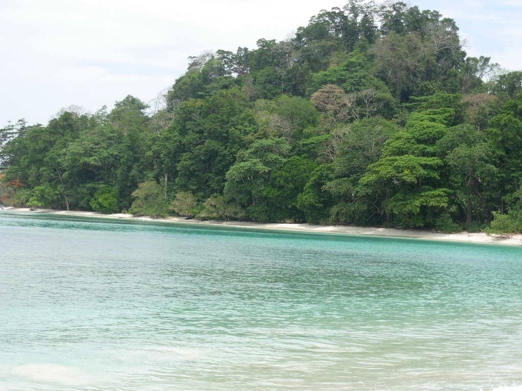 Radhanagar Beach