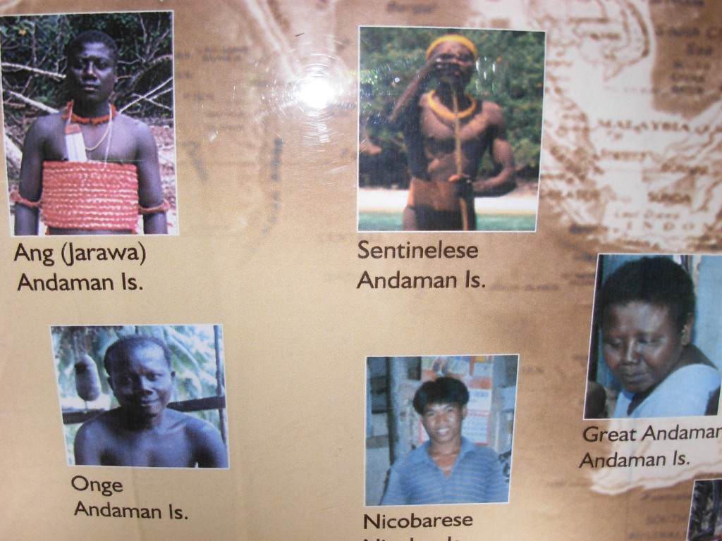 Anthropological Museum