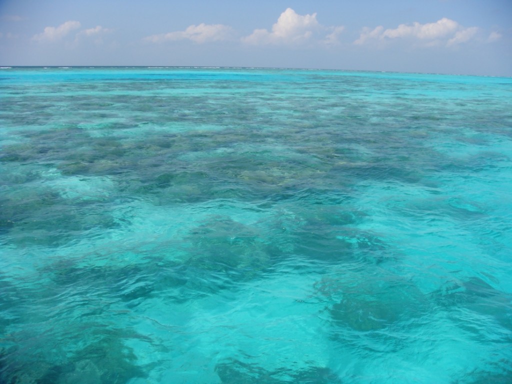 the underwater world