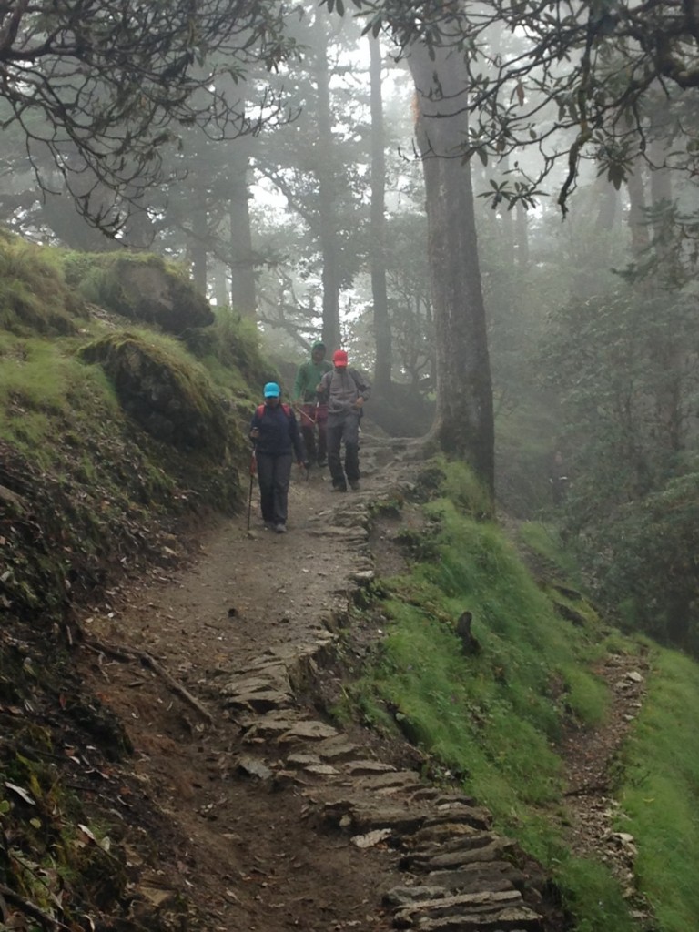 into the woods